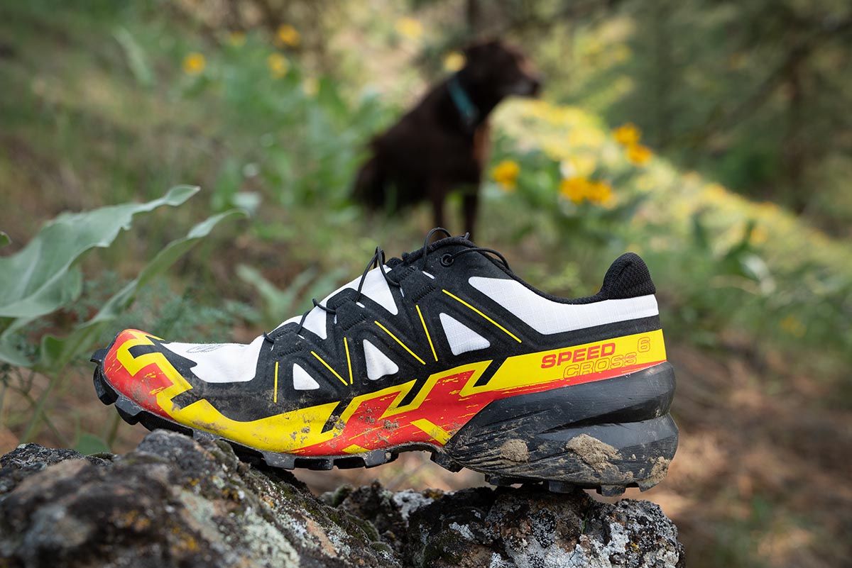 Best Trail Running Shoes of 2024 Switchback Travel